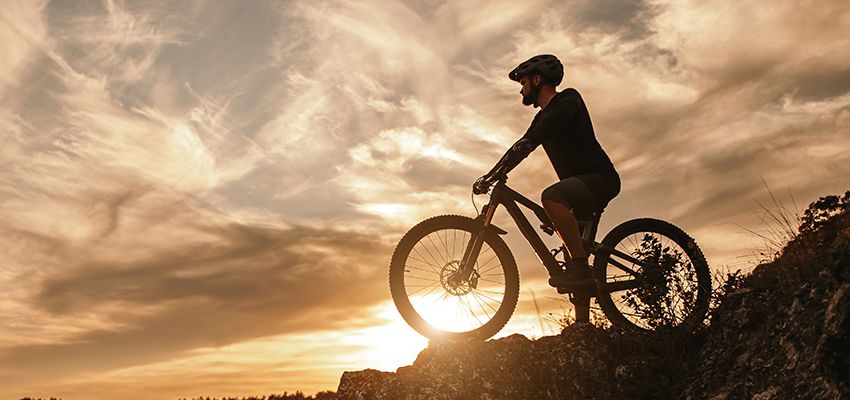 Mutual Eclipse | Proveeduría